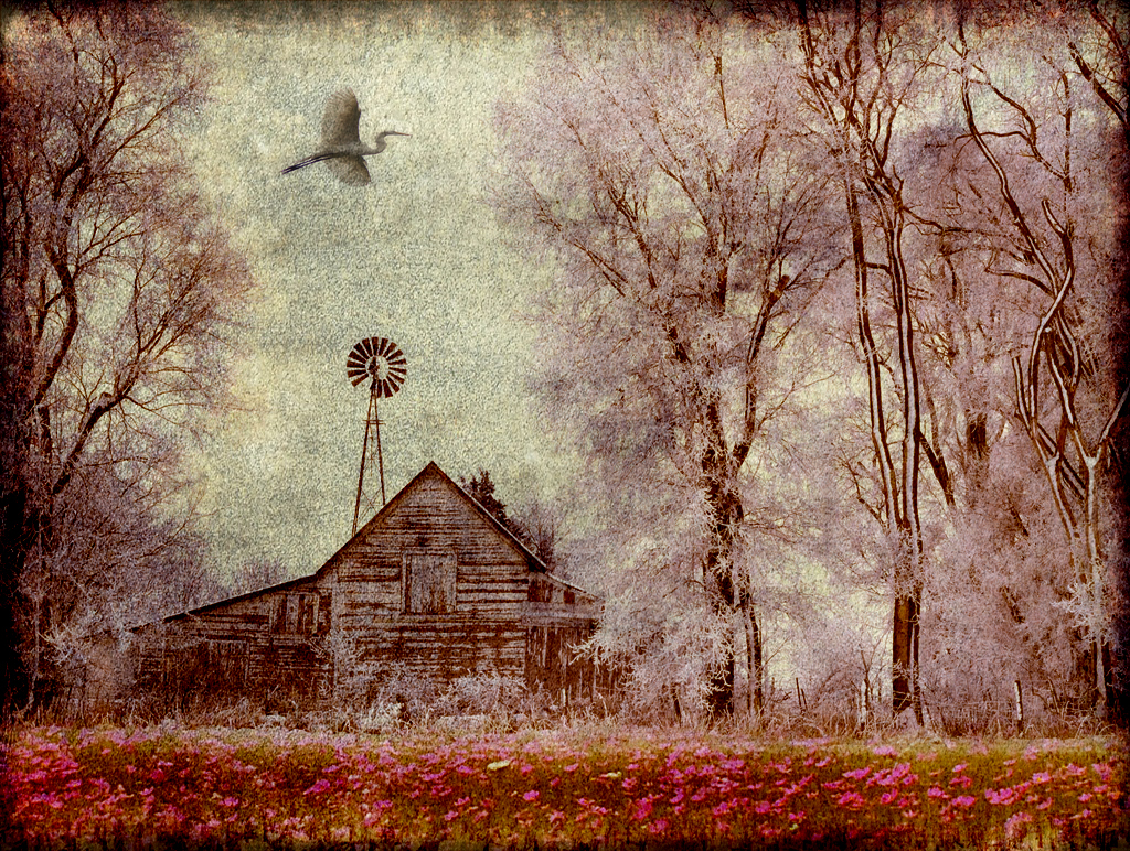 Hearthy XIIII - World In Change