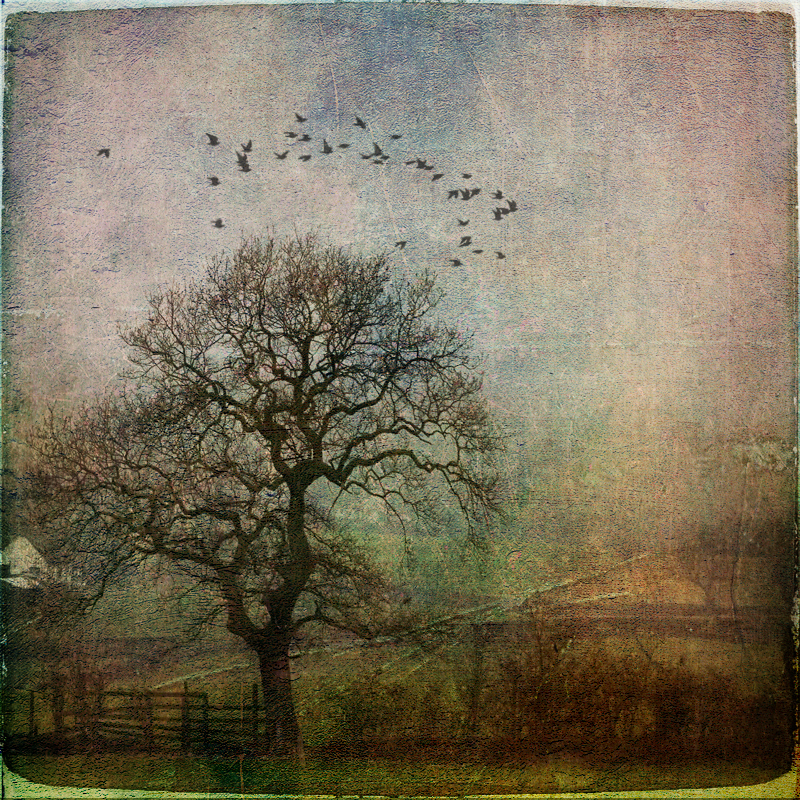 Hearthy VIII - One Of These Days