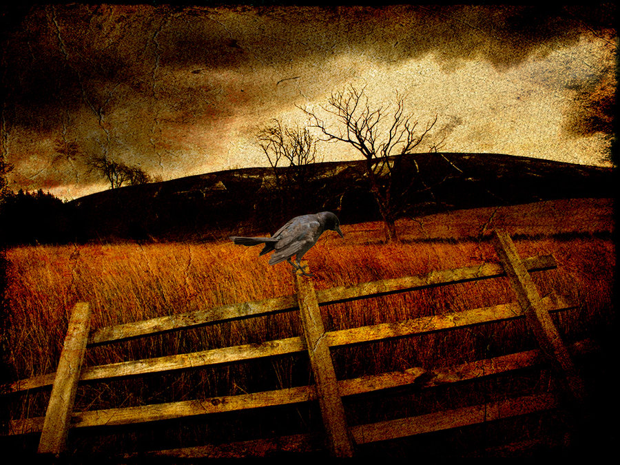 hearthy XII - Darkness Days