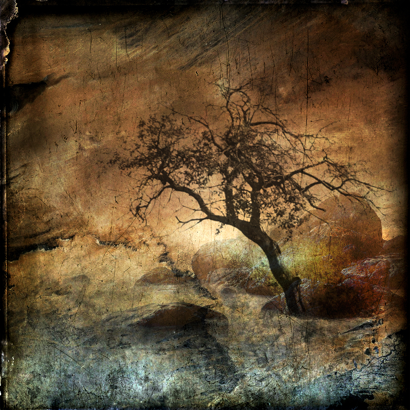 hearthy XXVII - Desert fellings