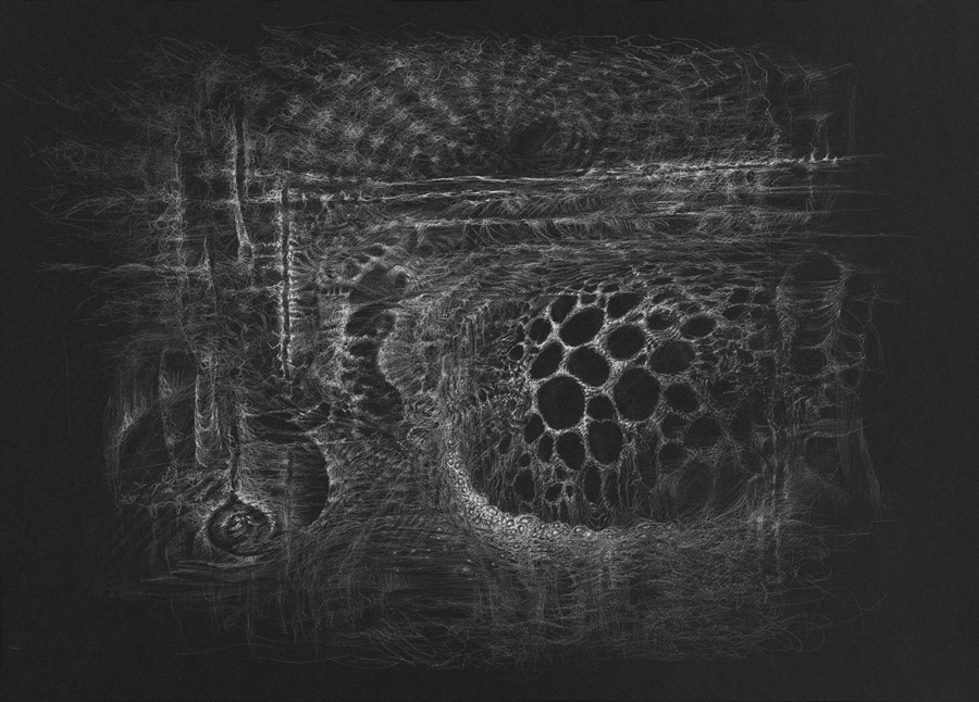 Bette-Burgoyne--Clathrus-Morning