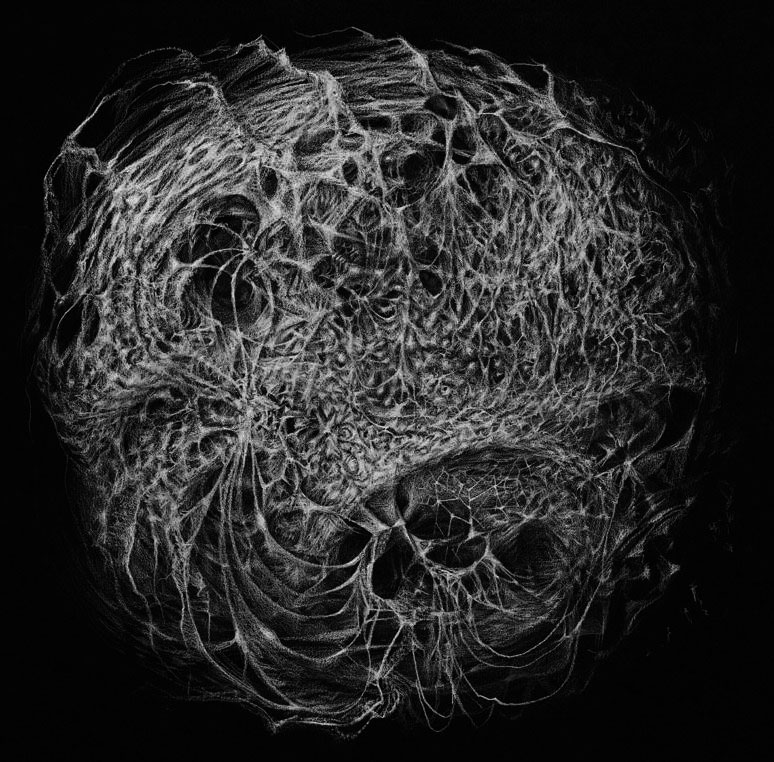 Bette-Burgoyne VI - Persona copy